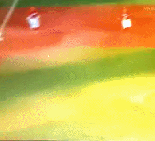 14100.gif